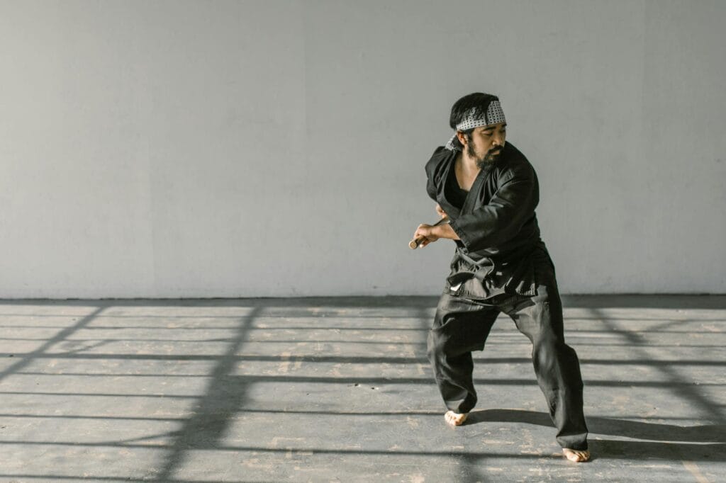 man engaged in martial art